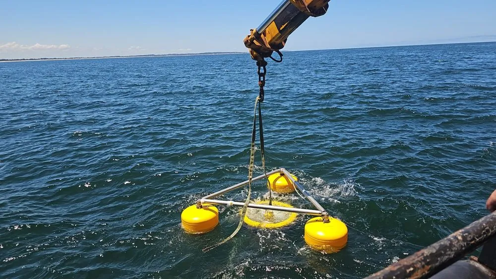 Despliegue de skimmer con grúa sobre el agua